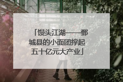 馒头江湖——鄄城县的小面团撑起五十亿元大产业