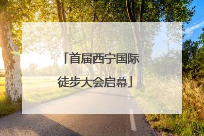 首届西宁国际徒步大会启幕