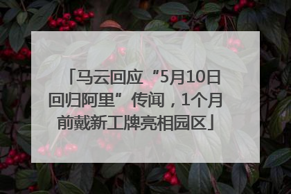 马云回应“5月10日回归阿里”传闻，1个月前戴新工牌亮相园区