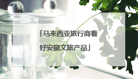 马来西亚旅行商看好安徽文旅产品
