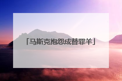 马斯克抱怨成替罪羊