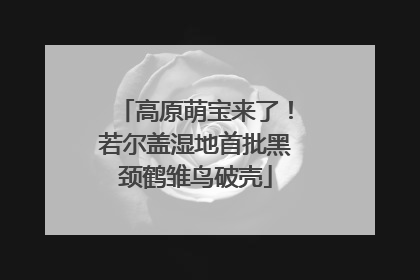 高原萌宝来了！若尔盖湿地首批黑颈鹤雏鸟破壳