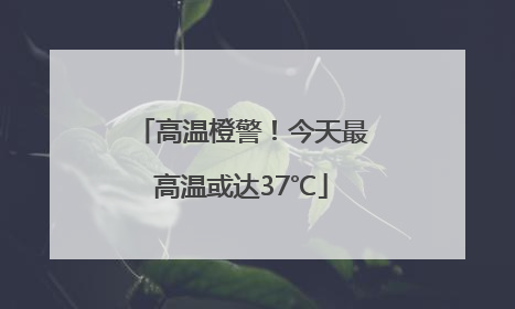 高温橙警！今天最高温或达37℃