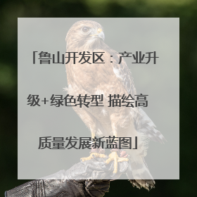 鲁山开发区：产业升级+绿色转型 描绘高质量发展新蓝图