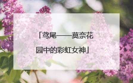 鸢尾——莫奈花园中的彩虹女神