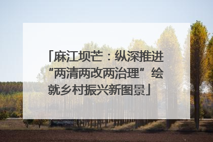 麻江坝芒：纵深推进“两清两改两治理”绘就乡村振兴新图景