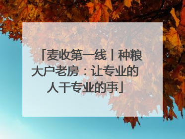 麦收第一线丨种粮大户老房：让专业的人干专业的事