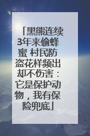 黑熊连续3年来偷蜂蜜 村民防盗花样频出却不伤害：它是保护动物，我有保险兜底