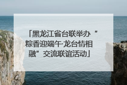 黑龙江省台联举办“粽香迎端午·龙台情相融”交流联谊活动