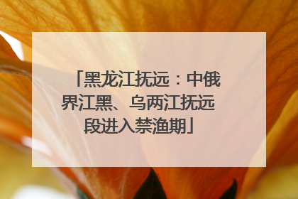 黑龙江抚远：中俄界江黑、乌两江抚远段进入禁渔期