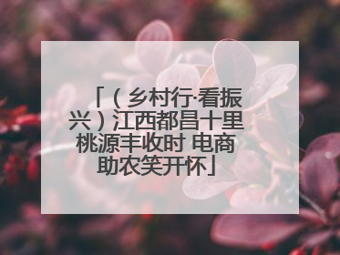 （乡村行·看振兴）江西都昌十里桃源丰收时 电商助农笑开怀