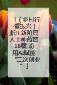 （乡村行·看振兴）浙江新阶层人士种蓝莓16载 盼用AI赋能“二次创业”
