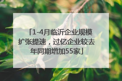 1-4月临沂企业规模扩张提速，过亿企业较去年同期增加55家