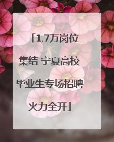1.7万岗位集结 宁夏高校毕业生专场招聘火力全开