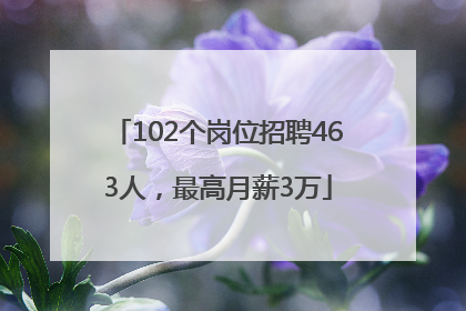 102个岗位招聘463人，最高月薪3万