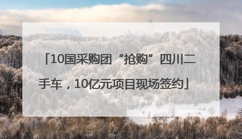 10国采购团“抢购”四川二手车，10亿元项目现场签约