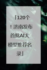 120个！济南发布首批AI大模型推荐名录