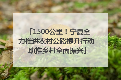 1500公里！宁夏全力推进农村公路提升行动 助推乡村全面振兴
