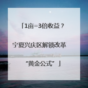 1亩=3倍收益？宁夏兴庆区解锁改革“黄金公式”