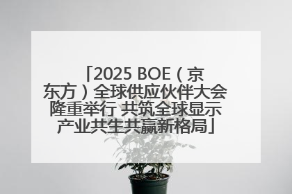 2025 BOE（京东方）全球供应伙伴大会隆重举行 共筑全球显示产业共生共赢新格局