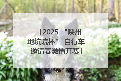 2025 “陕州地坑院杯” 自行车邀请赛激情开赛