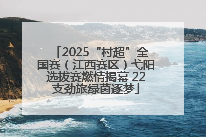 2025“村超”全国赛（江西赛区）弋阳选拔赛燃情揭幕 22支劲旅绿茵逐梦