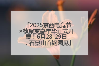 2025京西电竞节×核聚变嘉年华正式开票！6月28-29日，石景山首钢园见
