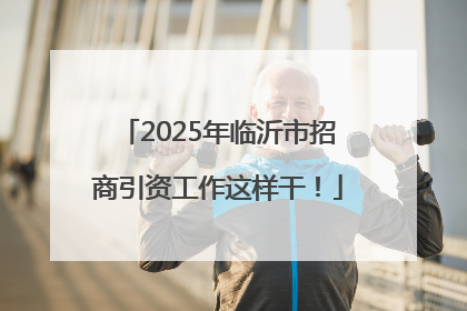 2025年临沂市招商引资工作这样干！