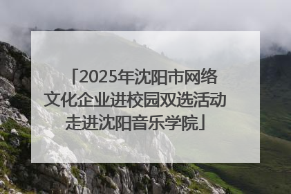 2025年沈阳市网络文化企业进校园双选活动走进沈阳音乐学院