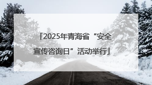 2025年青海省“安全宣传咨询日”活动举行