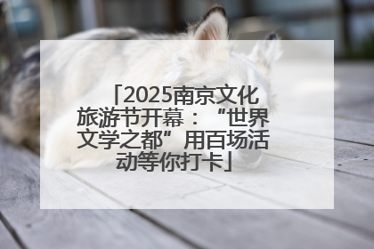 2025南京文化旅游节开幕：“世界文学之都”用百场活动等你打卡