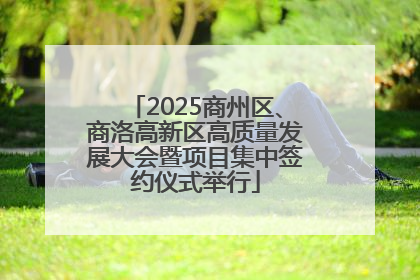 2025商州区、商洛高新区高质量发展大会暨项目集中签约仪式举行