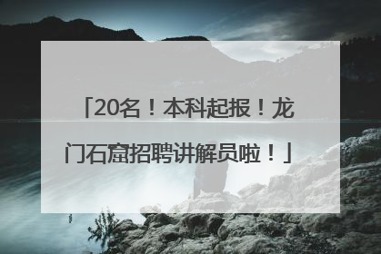 20名！本科起报！龙门石窟招聘讲解员啦！