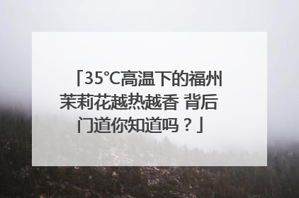 35℃高温下的福州茉莉花越热越香 背后门道你知道吗？