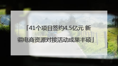 41个项目签约4.5亿元 新疆电商资源对接活动成果丰硕