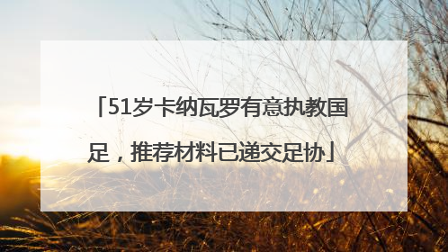 51岁卡纳瓦罗有意执教国足，推荐材料已递交足协