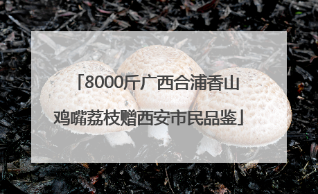 8000斤广西合浦香山鸡嘴荔枝赠西安市民品鉴