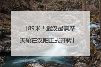 89米！武汉最高摩天轮在汉阳正式开转