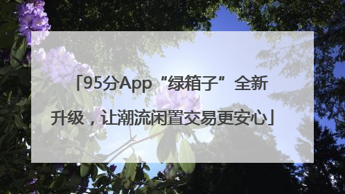 95分App“绿箱子”全新升级，让潮流闲置交易更安心