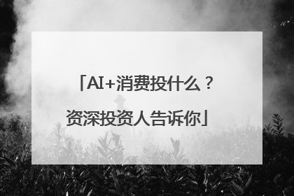 AI+消费投什么？资深投资人告诉你