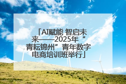 AI赋能 智启未来——2025年“青耘锦州”青年数字电商培训班举行