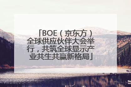 BOE（京东方）全球供应伙伴大会举行，共筑全球显示产业共生共赢新格局