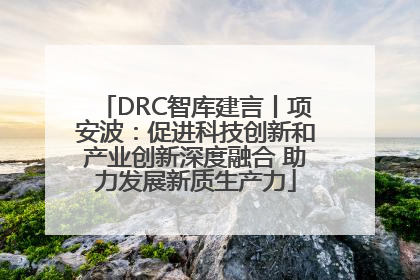 DRC智库建言丨项安波：促进科技创新和产业创新深度融合 助力发展新质生产力